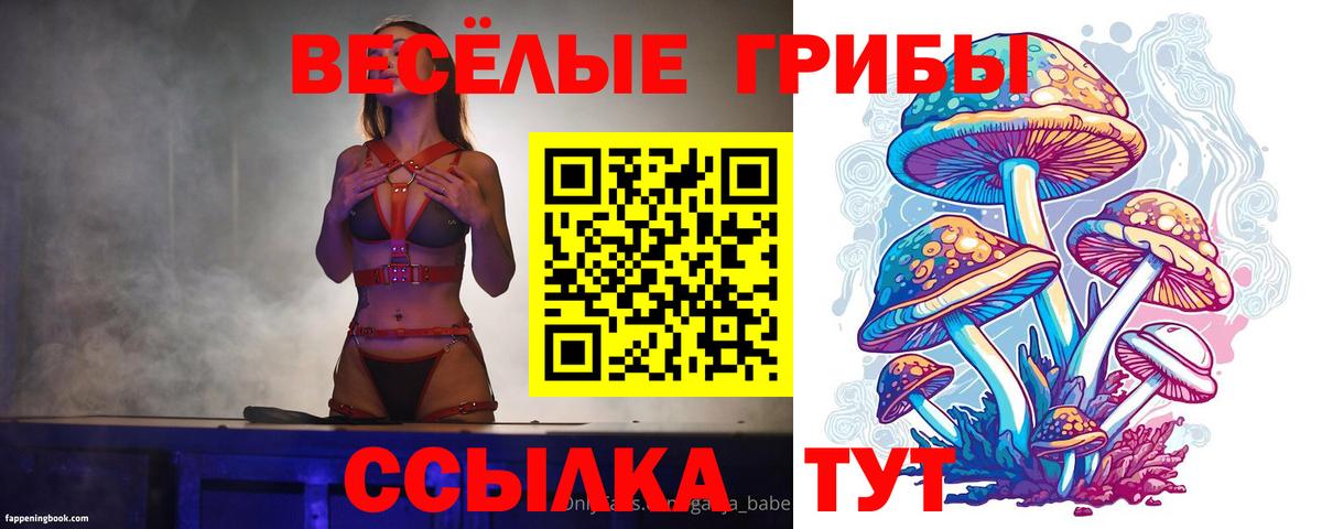 Рубцовск  Галлюциногенные грибы Psilocybe  Вход с VPN  Галлюциногенные грибы прущие грибы 